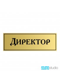 Табличка на дверь Директор пластик золото/серебро  (арт.Тd11)